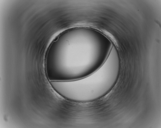 X0000096191288200801181000