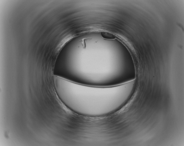X0000096191289200801181000