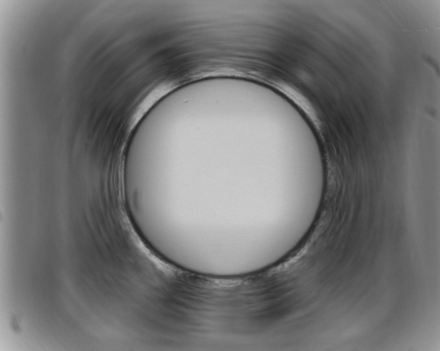 X0000096191290200801181000