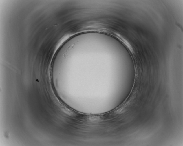 X0000096191291200801181000