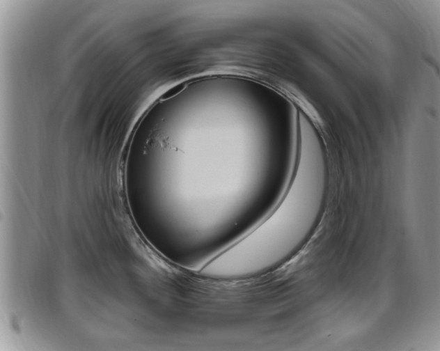 X0000096191292200801181000