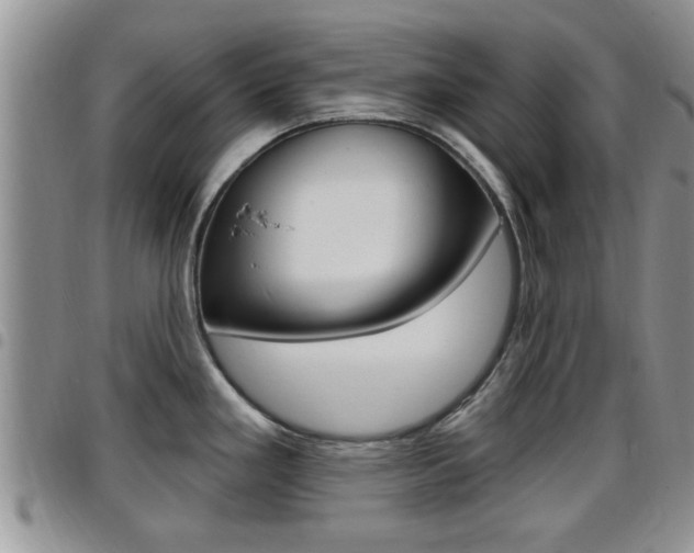 X0000096191293200801181000