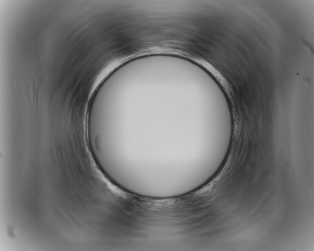 X0000096191294200801181000