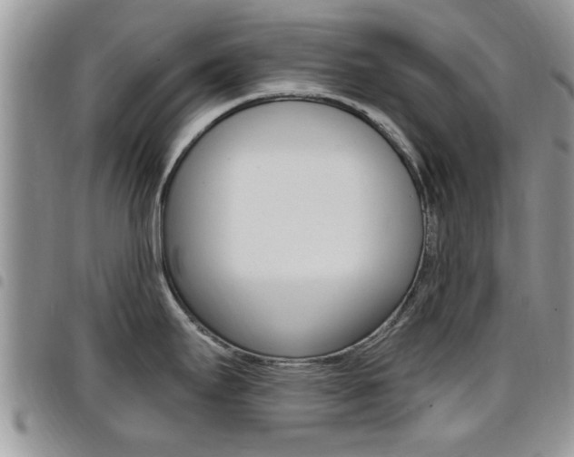 X0000096191295200801181000