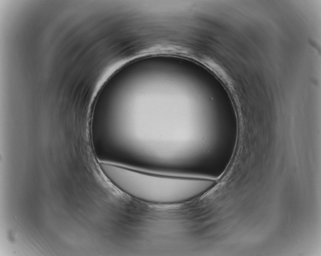 X0000096191296200801181000