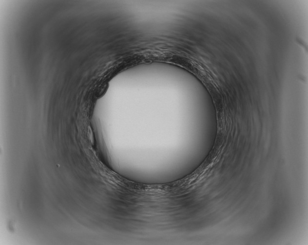 X0000096191297200801180959