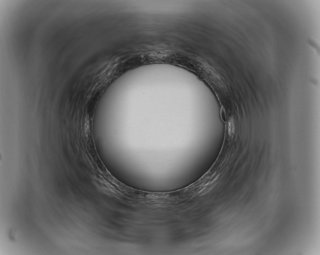 X0000096191299200801180959