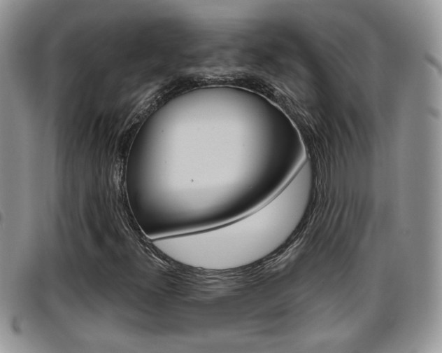 X0000096191300200801180959