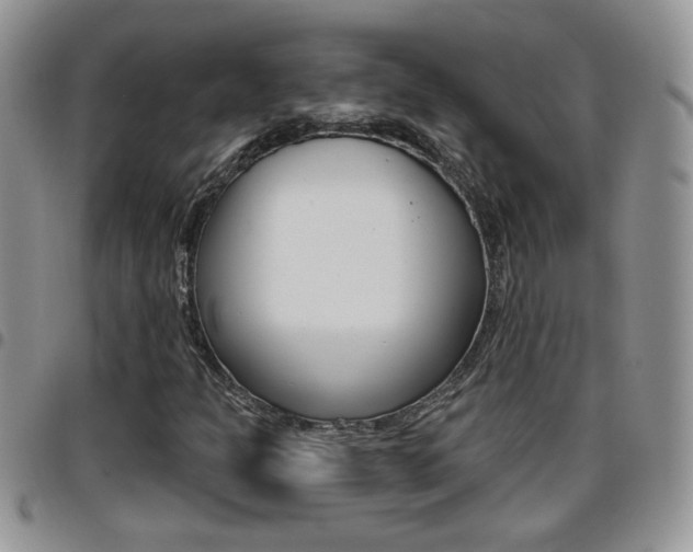 X0000096191301200801180959