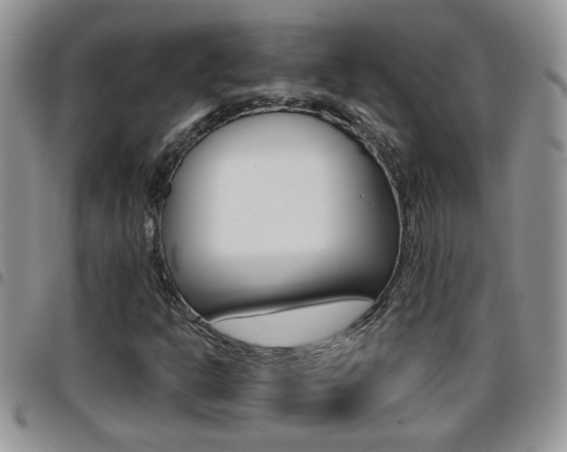 X0000096191302200801180959