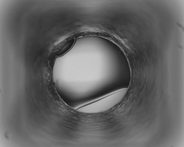 X0000096191303200801180959