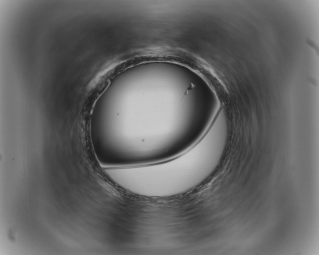X0000096191304200801180959