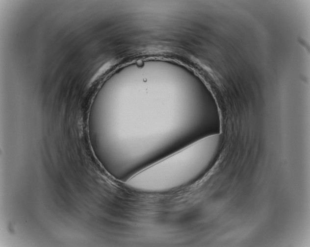 X0000096191306200801180959