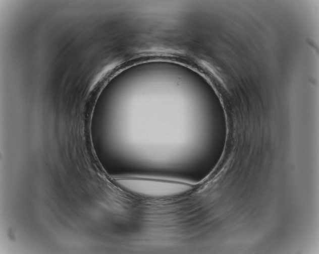 X0000096191307200801180959