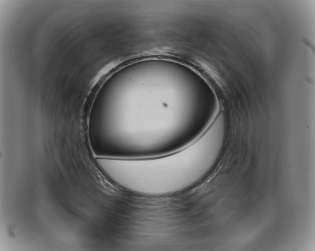 X0000096191308200801180959