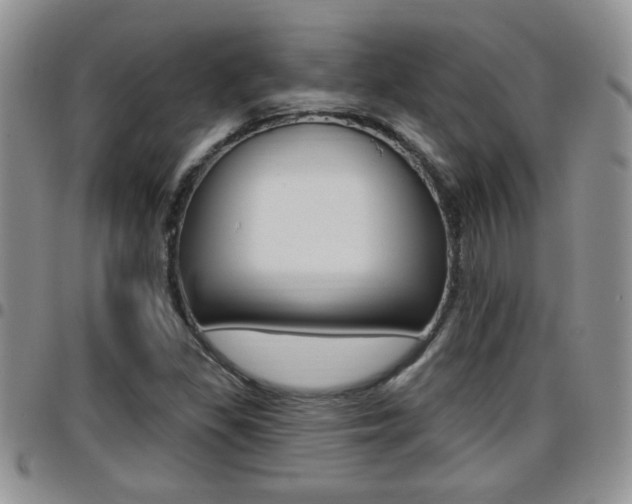 X0000096191309200801180959