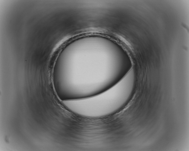 X0000096191310200801180959