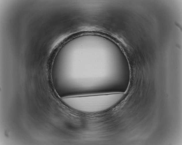 X0000096191311200801180959