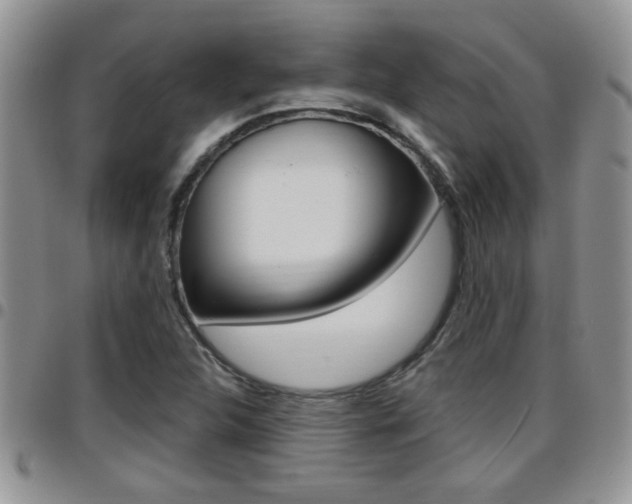 X0000096191312200801180959