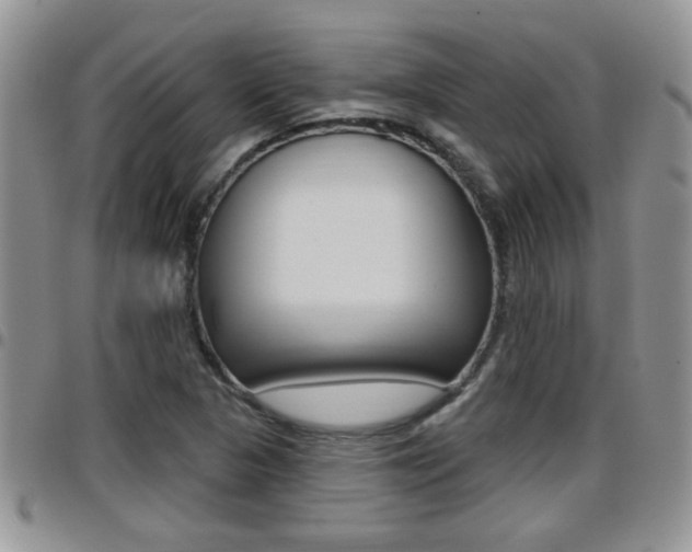 X0000096191313200801180959