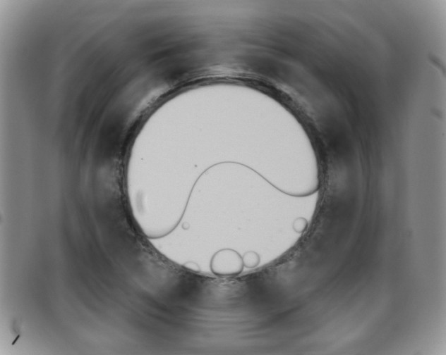 X0000096191314200801180959