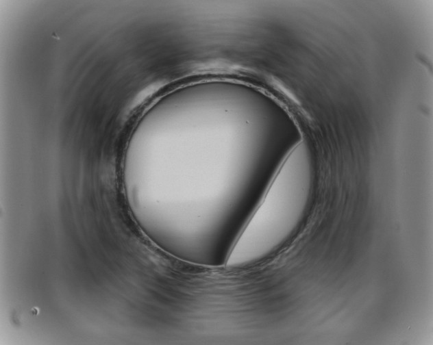 X0000096191315200801180959
