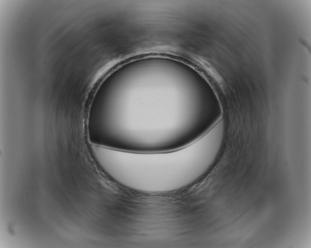 X0000096191316200801180959