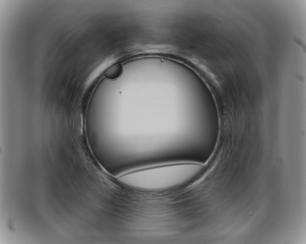 X0000096191317200801180959