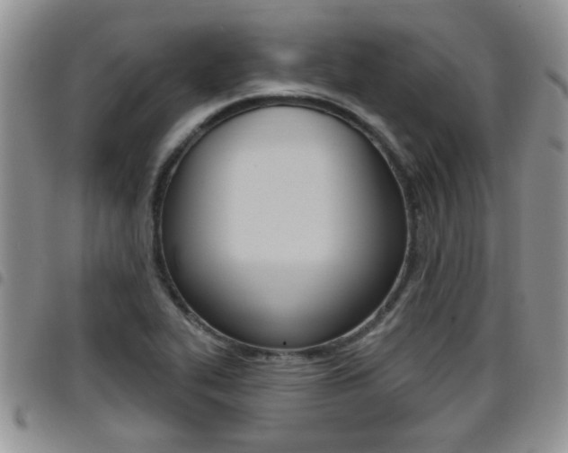 X0000096191319200801180959