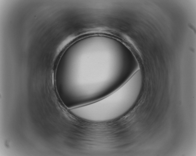 X0000096191320200801180959