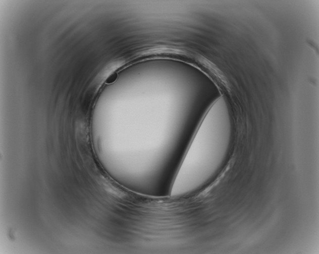 X0000096191321200801180959