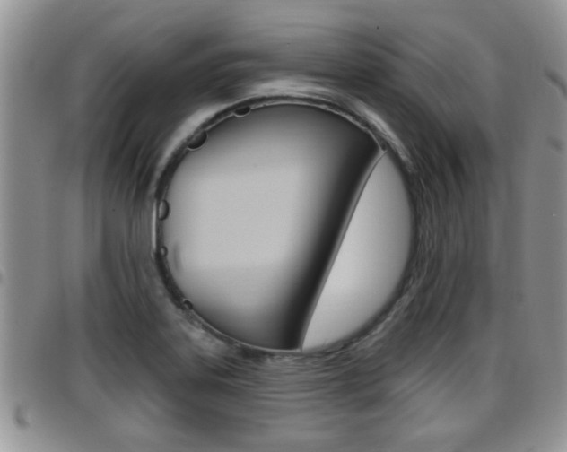 X0000096191323200801180959