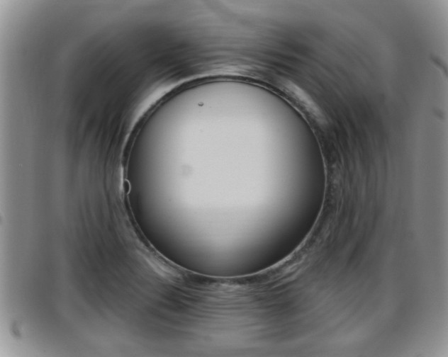 X0000096191324200801180959