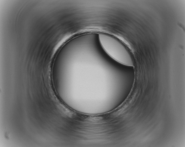 X0000096191325200801180959