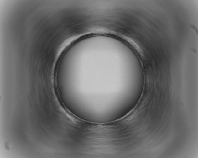 X0000096191327200801181000