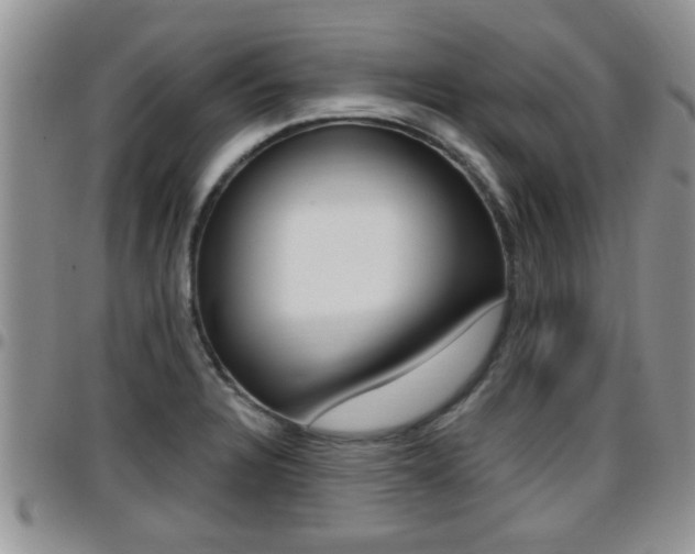 X0000096191328200801181000