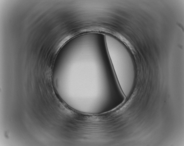 X0000096191329200801181000
