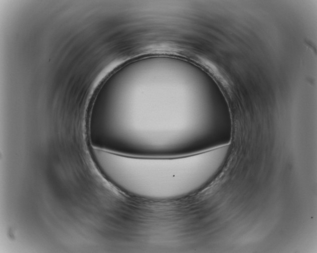 X0000096191331200801181000