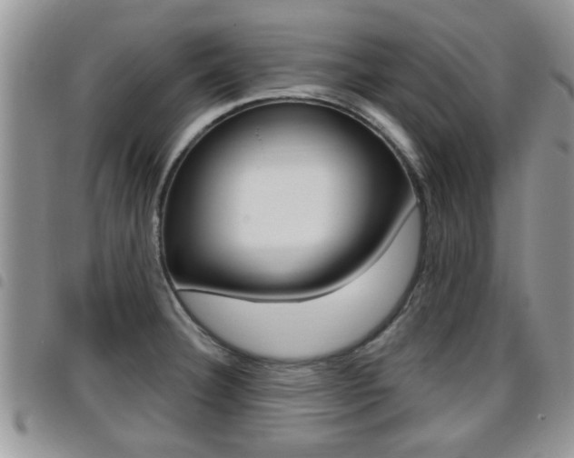 X0000096191332200801181000