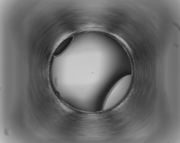X0000096191333200801181000