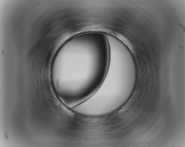 X0000096191334200801181000