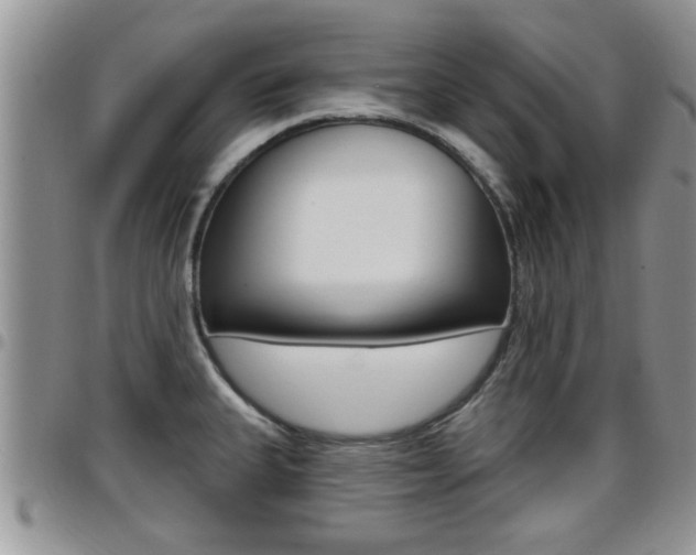 X0000096191335200801181000