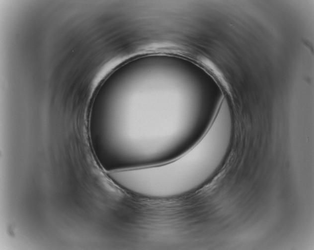 X0000096191336200801181000