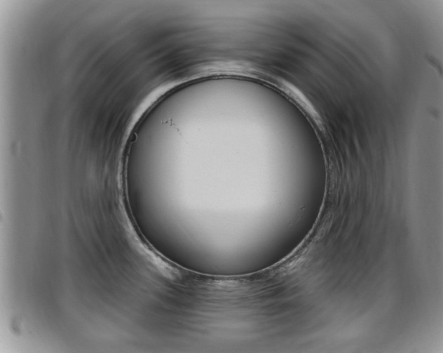 X0000096191339200801181000