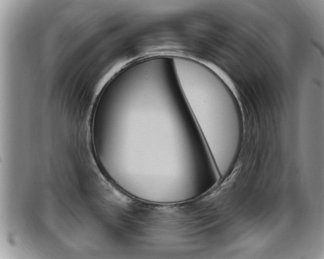X0000096191341200801181000
