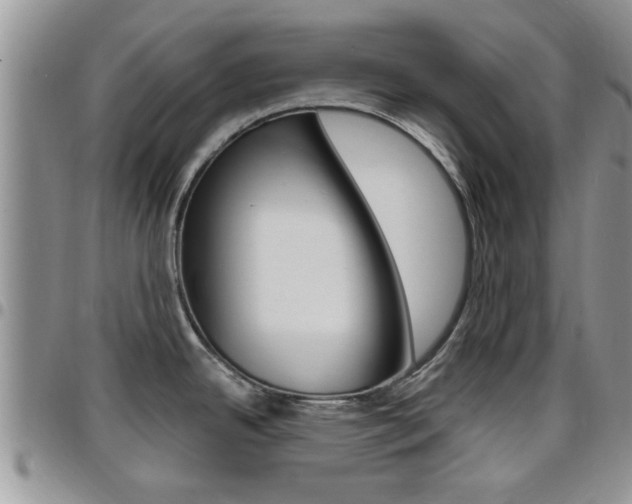 X0000096191342200801181000