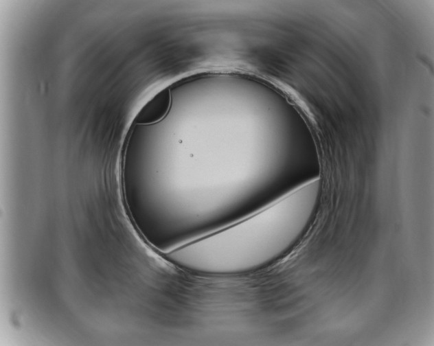 X0000096191343200801181000