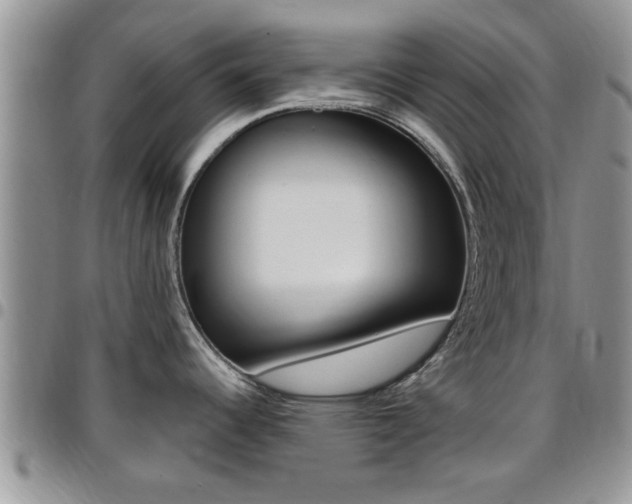 X0000096191344200801181000