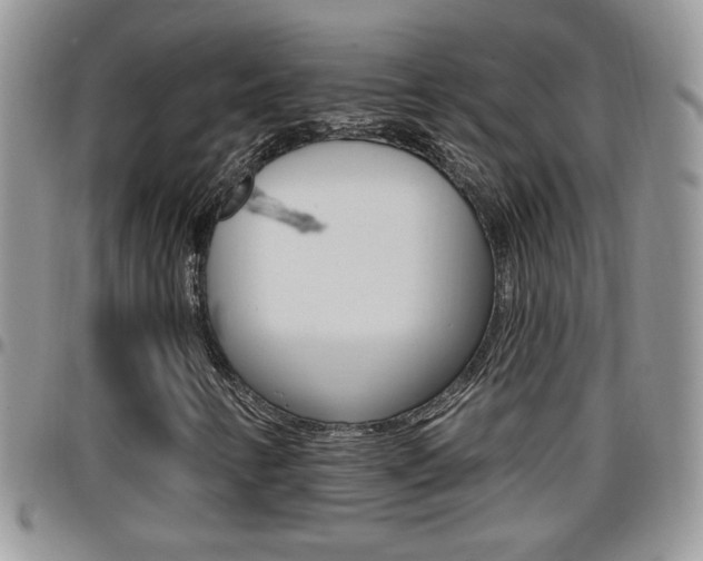 X0000096191346200801180959