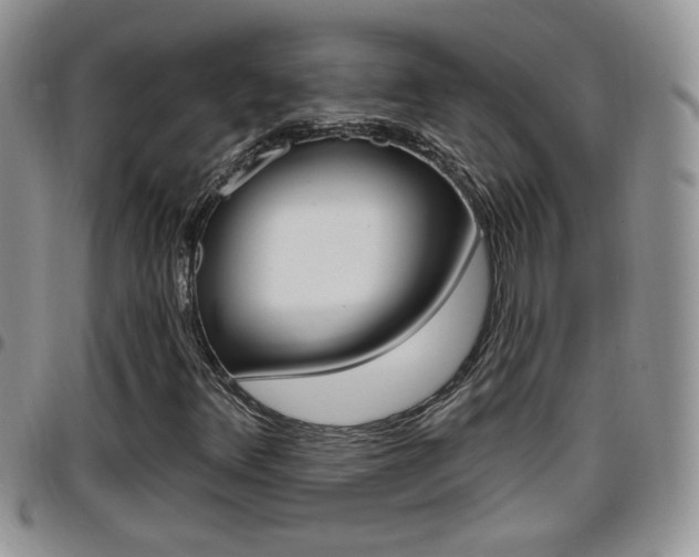 X0000096191348200801180959